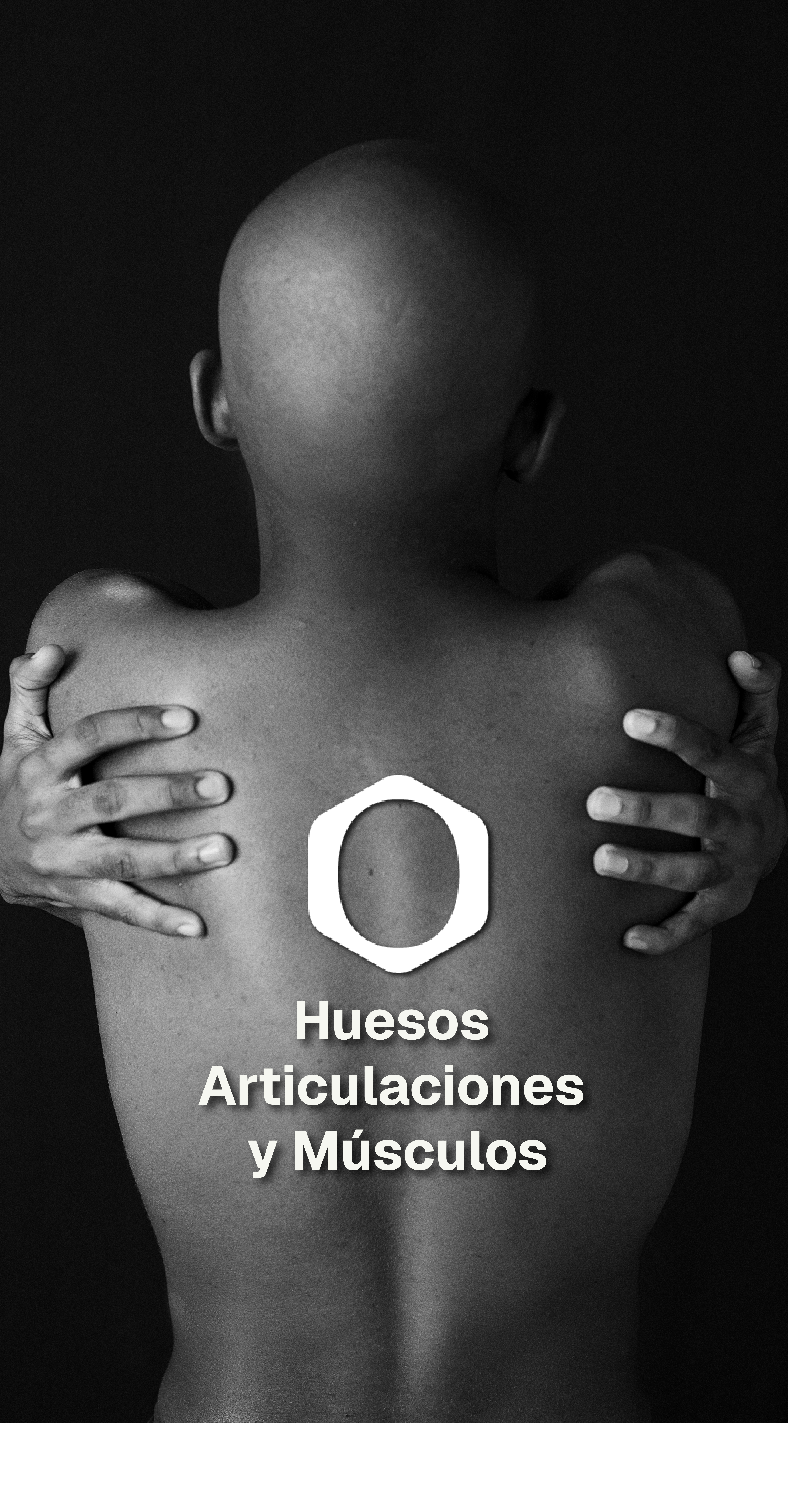 Huesos Articulaciones y Músculos